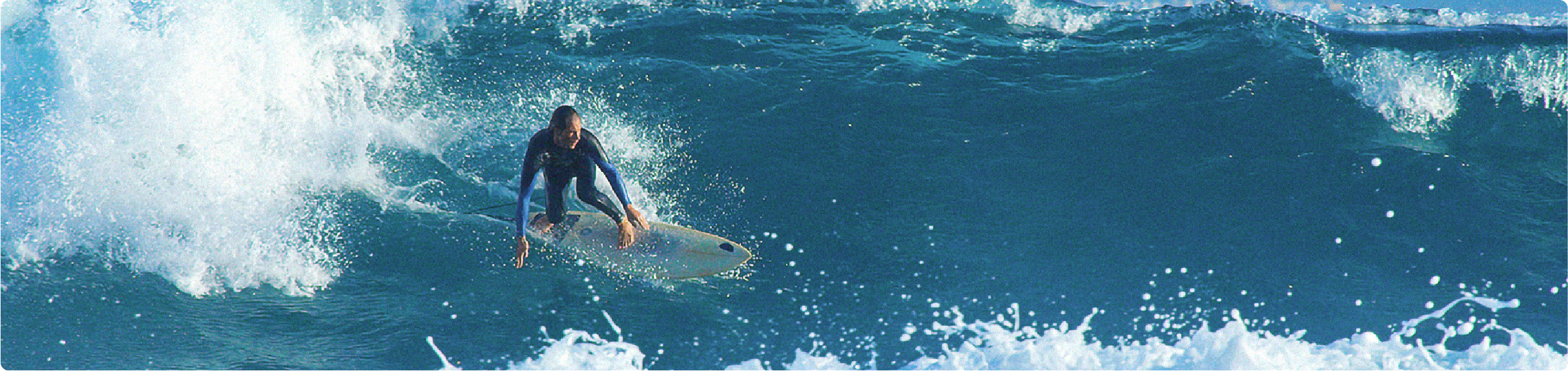 surfing banner